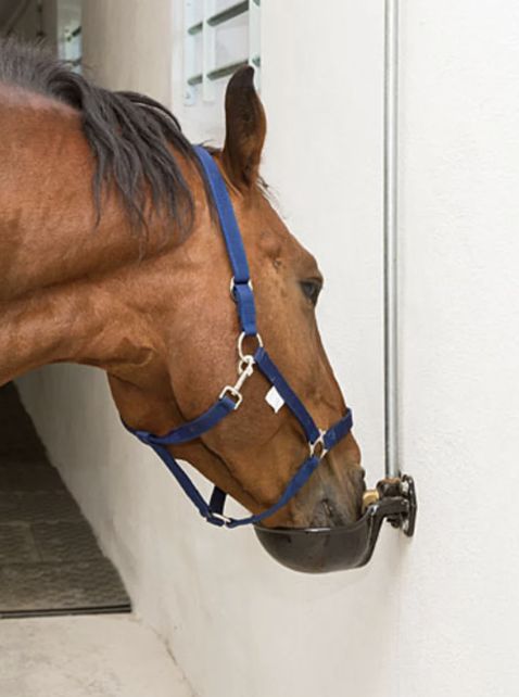 Drinkbak met lepel staal