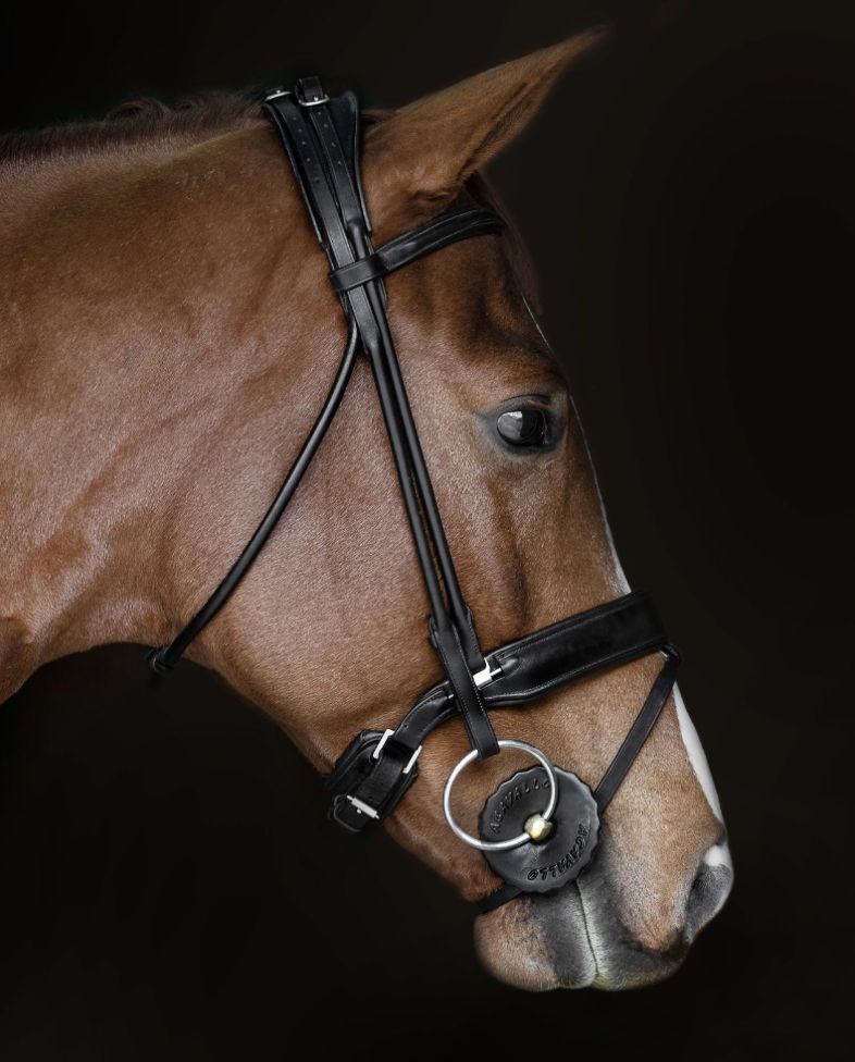 aCavallo gel bit guard