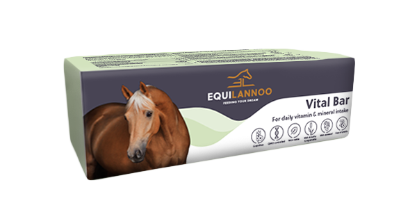 EquiLannoo vitalbar