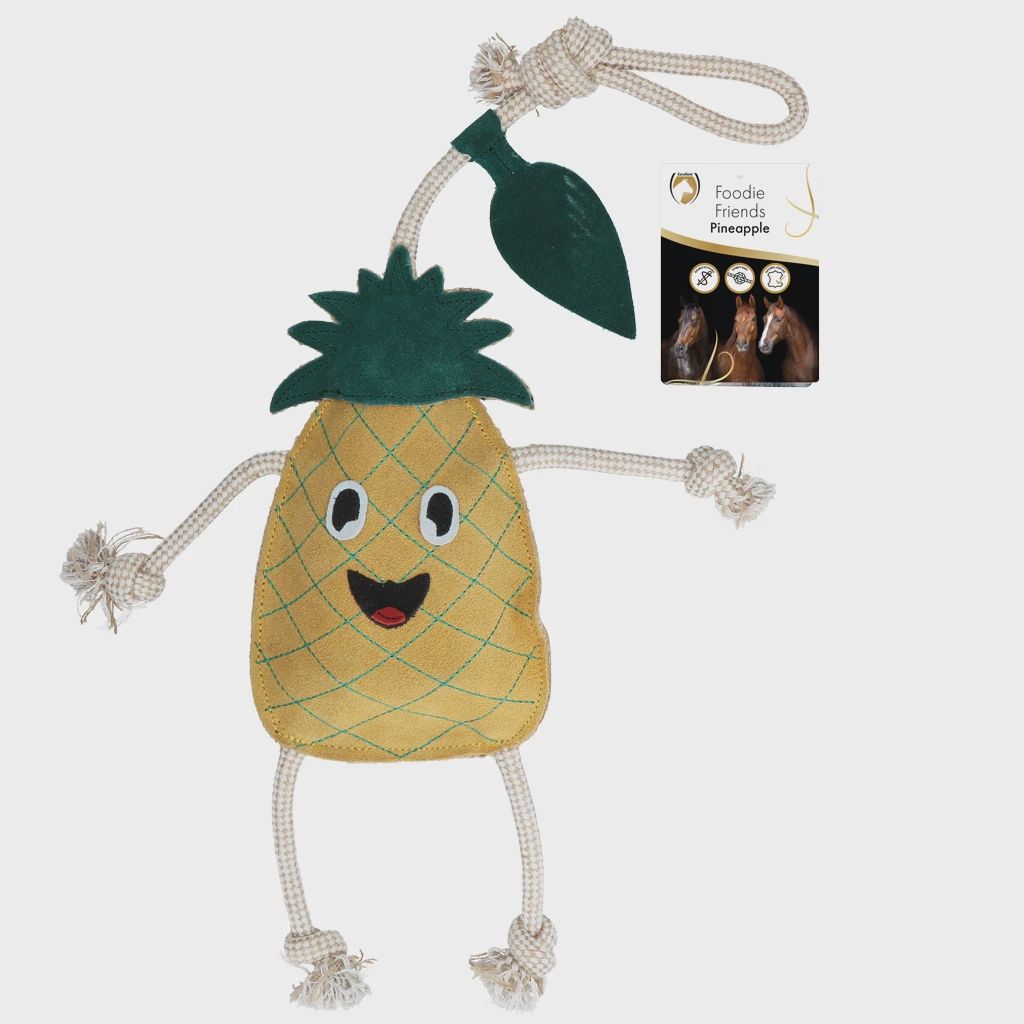 Excellent foodie friends pineapple