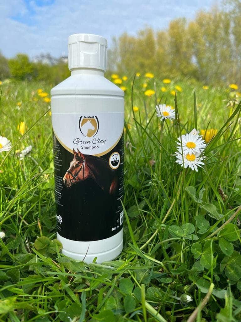 Excellent Green Clay Shampoo