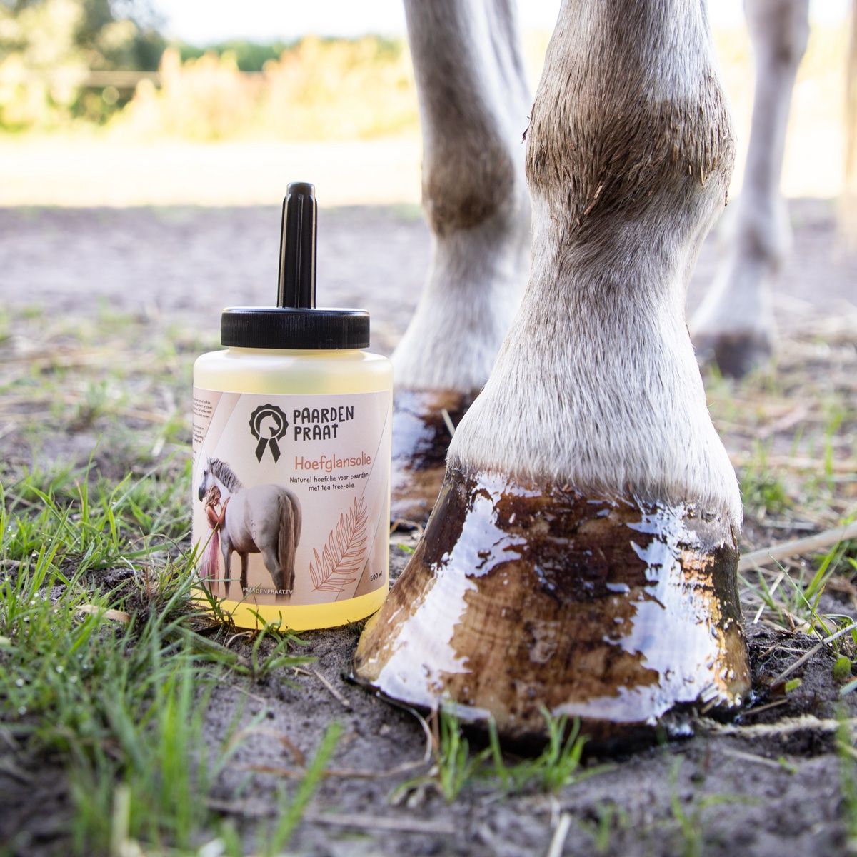 Excellent Paardenpraat hoefglansolie
