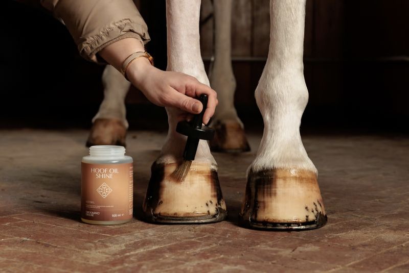 Grooming Deluxe Hoof oil shine naturel