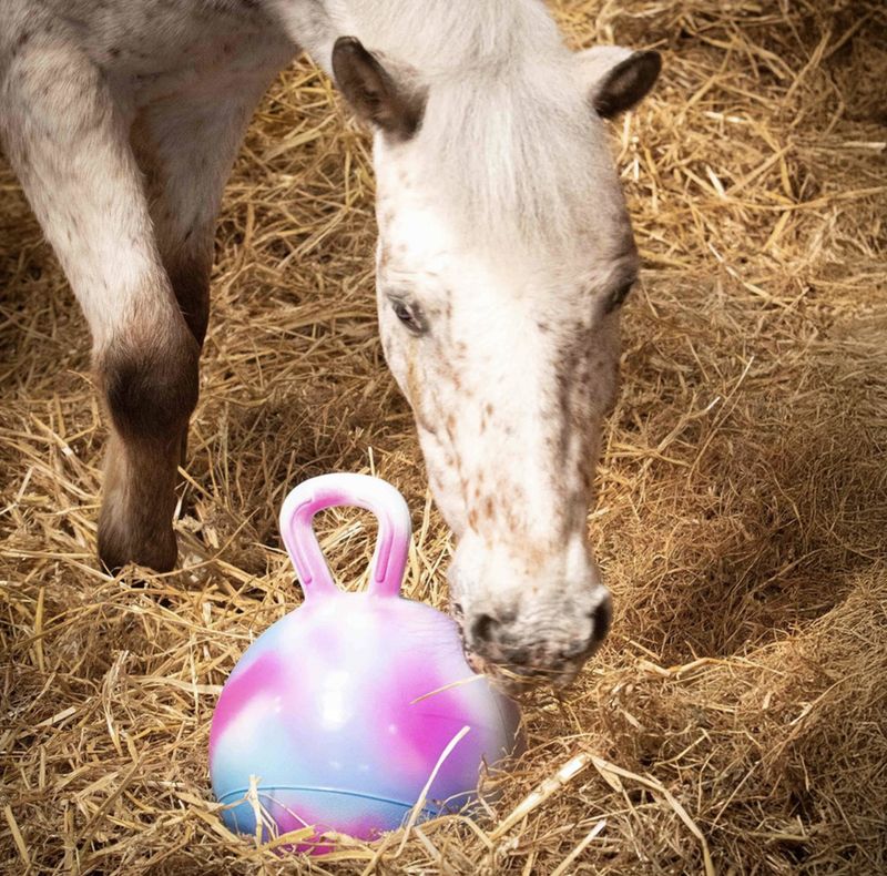 Harry’s Horse boredom breaker ball