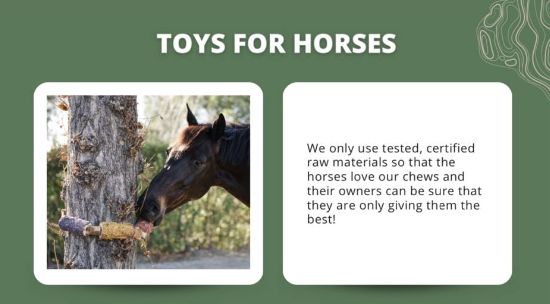 Wooden Toy Recovery