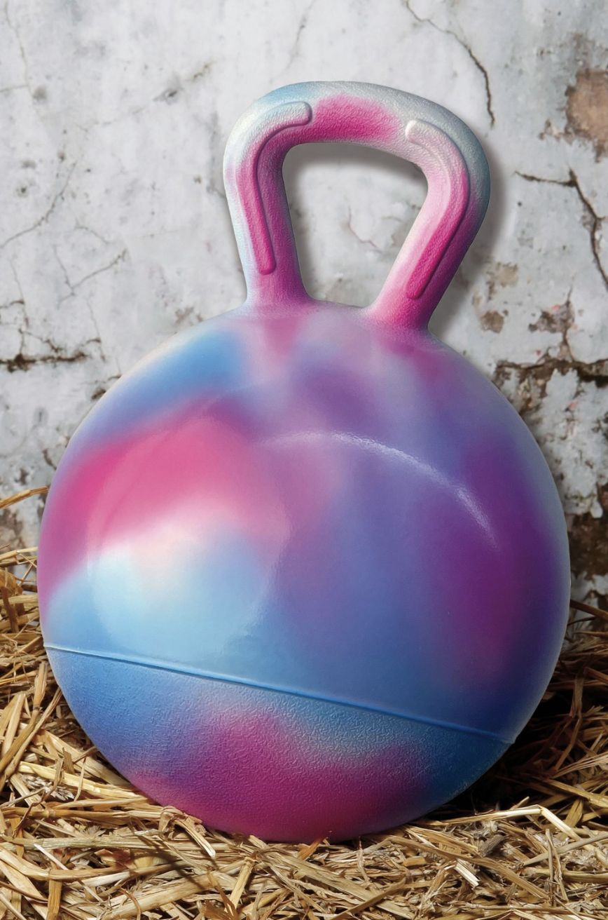 Harry’s Horse boredom breaker ball