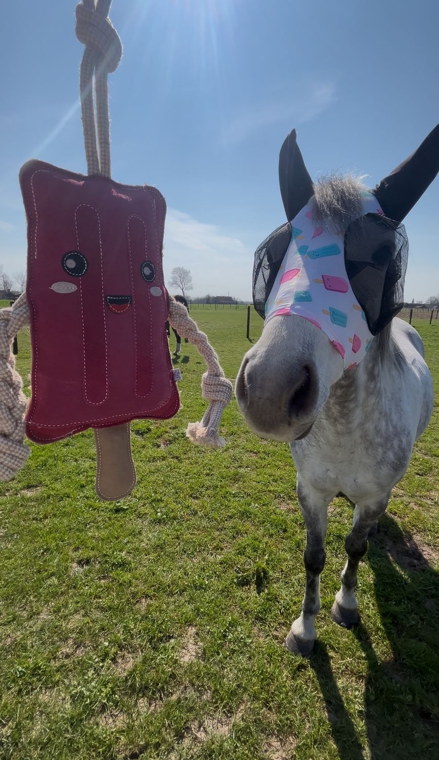 HKM Horsetoy IceLolly