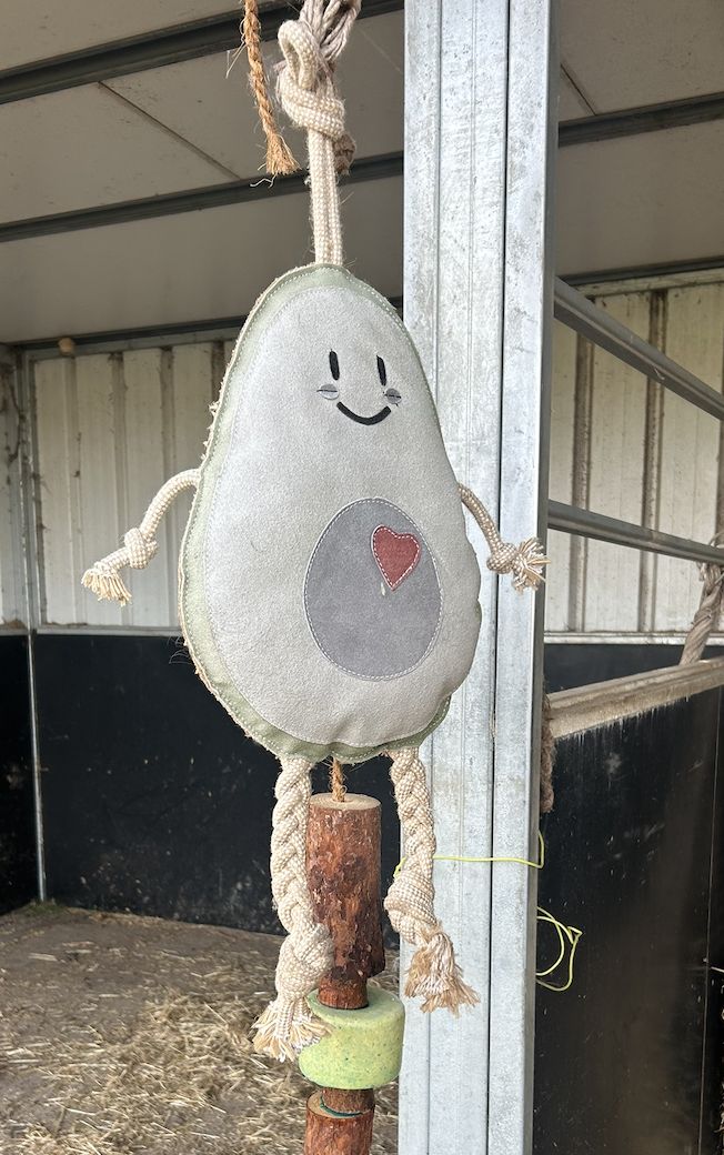 HKM Horsetoy Avocado