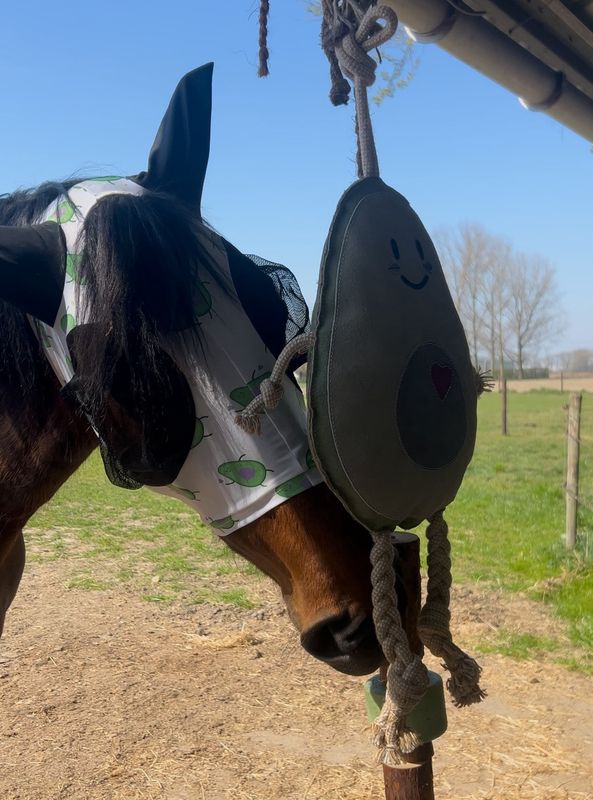 HKM Horsetoy Avocado
