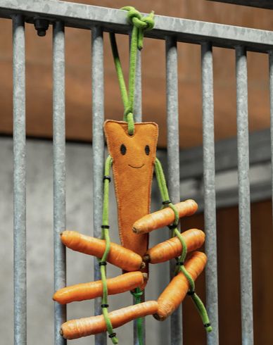 QHP Horsetoy Carrot with haynet