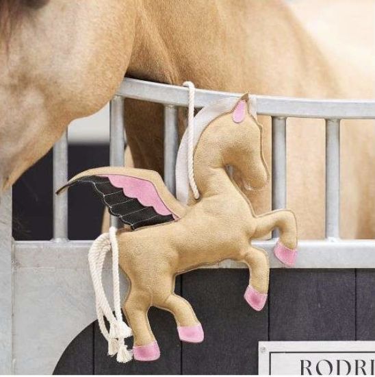 Imperial Riding Stable buddy Pegasus