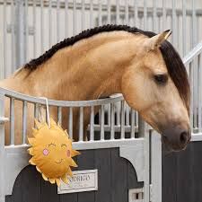 Imperial Riding StableBuddy Sunny