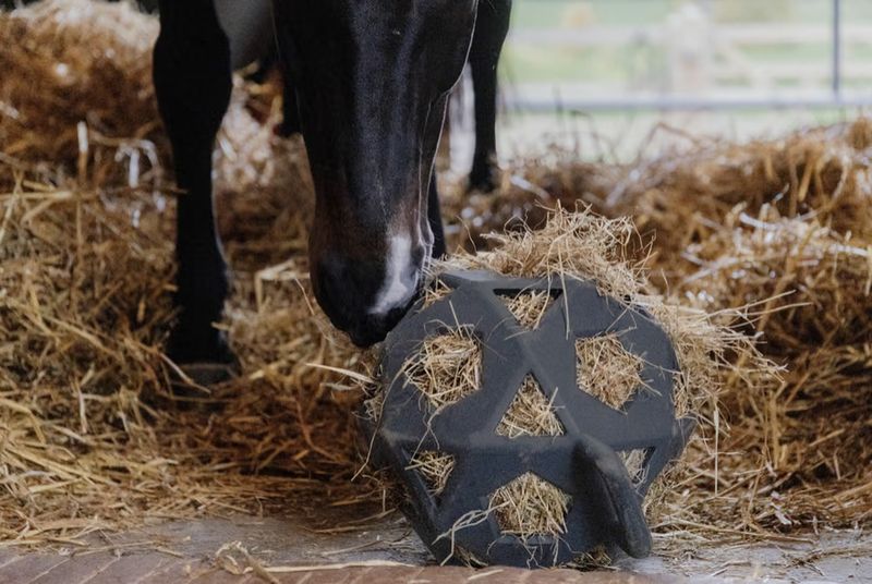 Kentucky relax hay ball