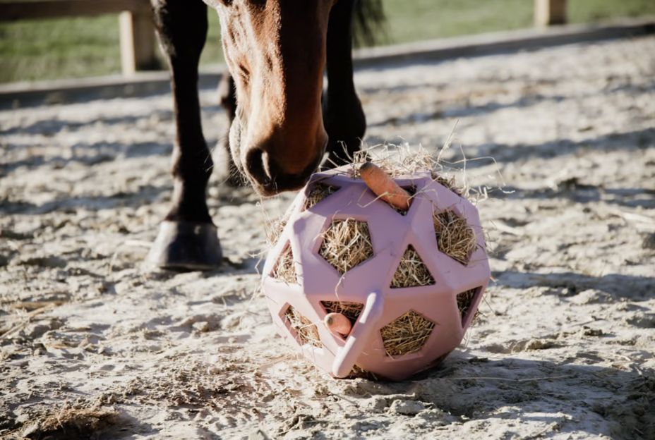 Kentucky relax hay ball