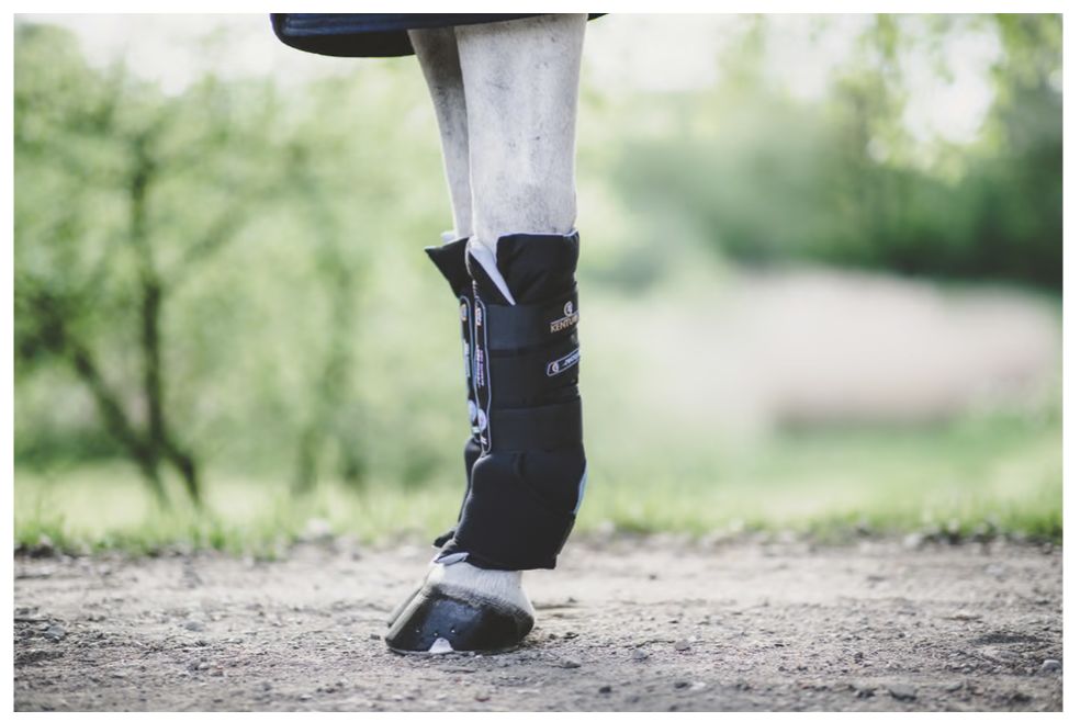 Kentucky magnetic boots recuptex