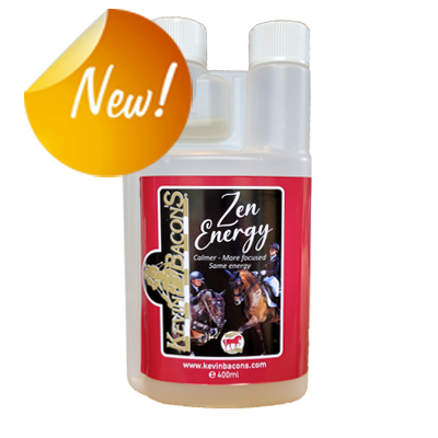 Kevin Bacon’s Zen Energy