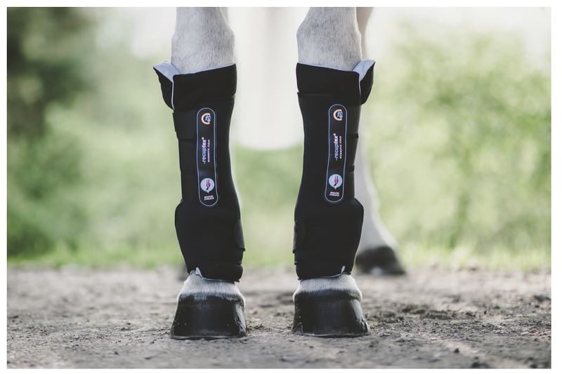 Kentucky magnetic boots recuptex