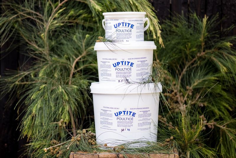 Uptite Paste