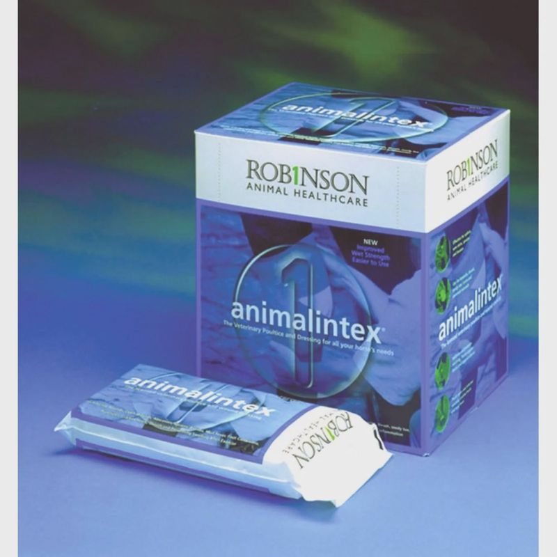 Robinson AnimalIntex