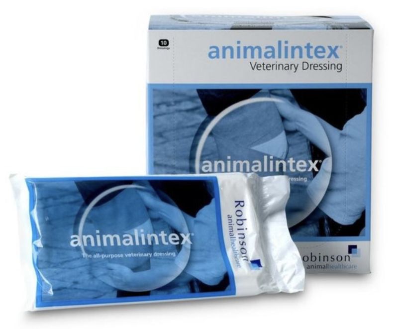 Robinson AnimalIntex