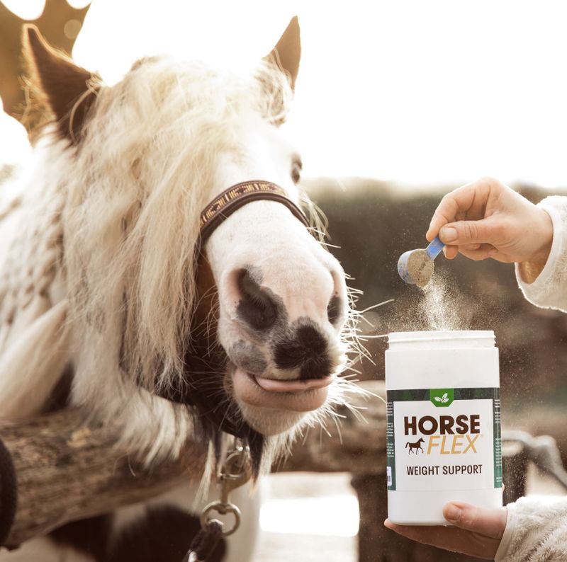 Horseflex Weight Support