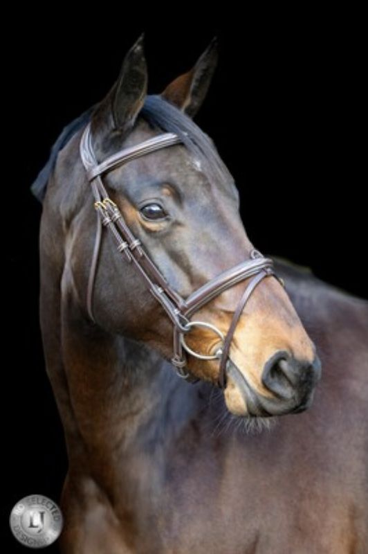 LJ Pro Selected Heritage gecombineerde neusriem