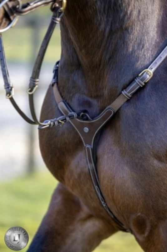 LJ Pro Selected 3punts jachtmartingaal