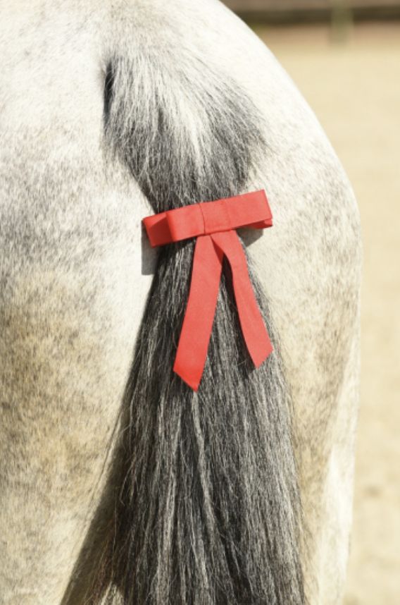Norton red tail ribbon