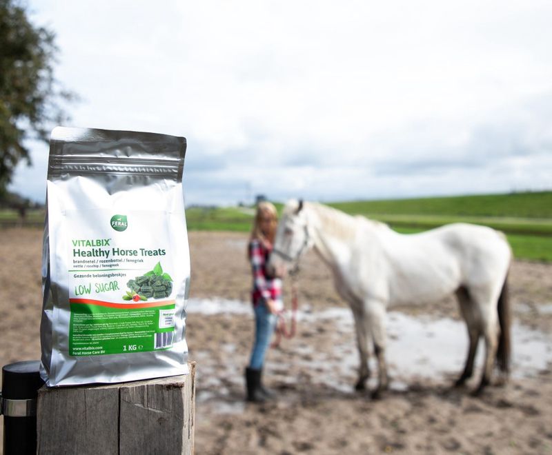 Vitalbix Healthy Horse Treats