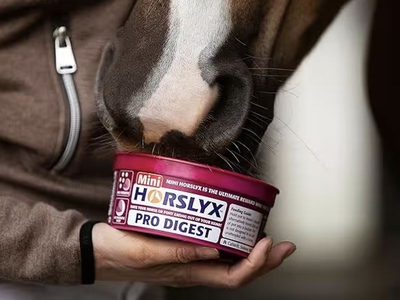 Horselyx Digestion 650gr