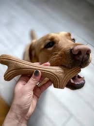 GiGwi wooden antler L