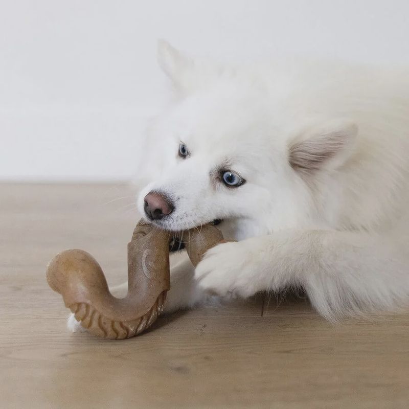 Benebone large tripe bone