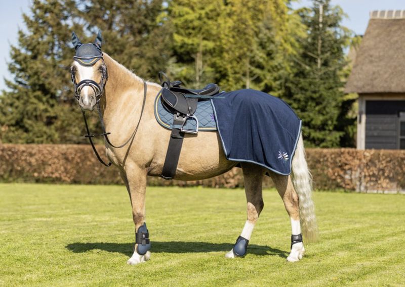 BR Mini horse tendon boots