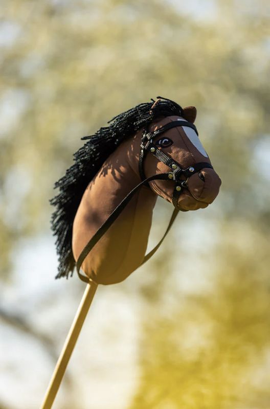 BR Mini hobbyhorse