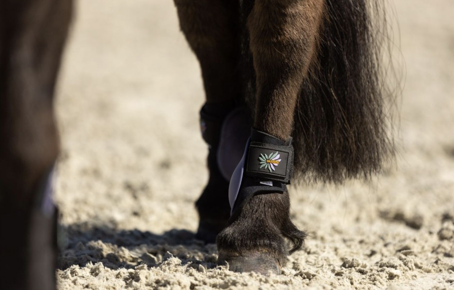 BR Mini horse fetlock boots