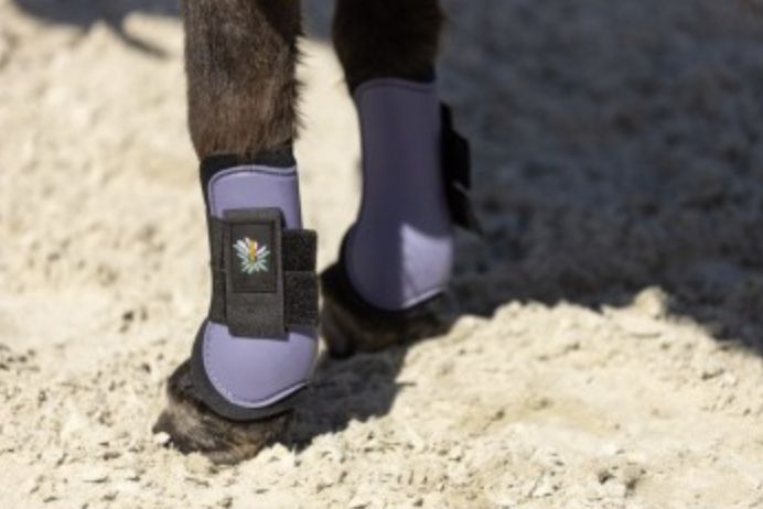 BR Mini horse tendon boots