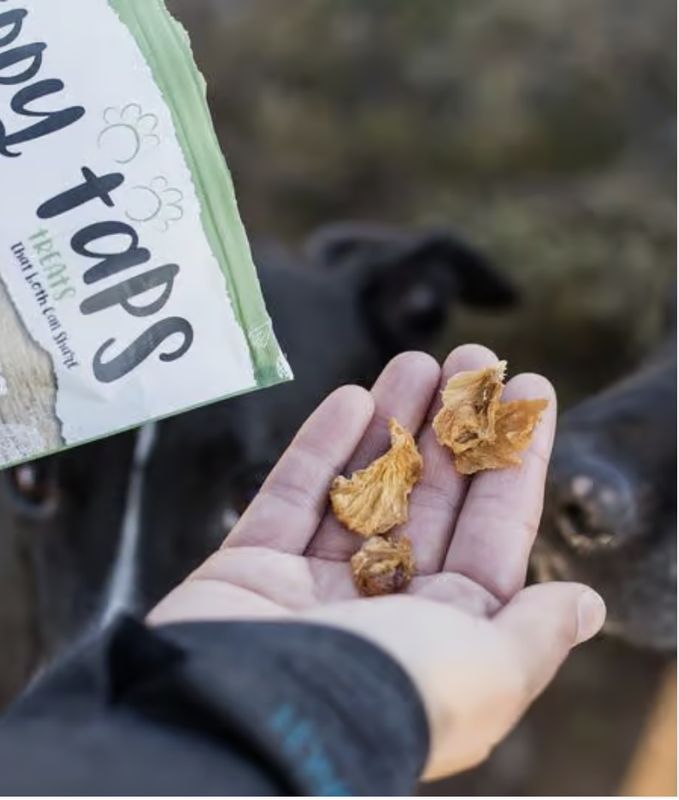 Tippy Taps tart apple chews