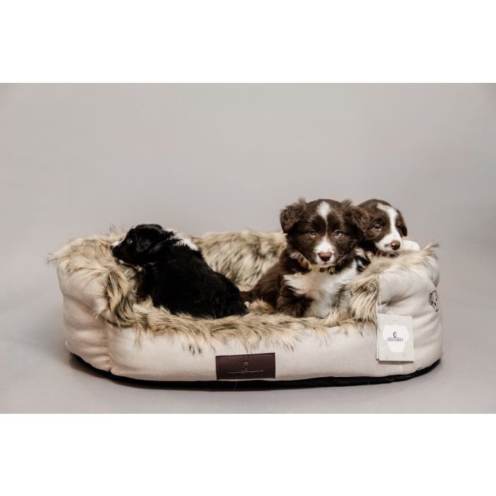 Kentucky Dog bed cave