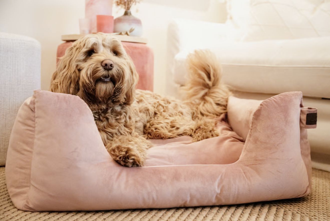 Kentucky dog bed velvet old rose