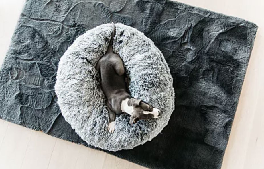 Kentucky dog bed comfort donut
