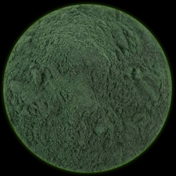 Horseflex Spirulina