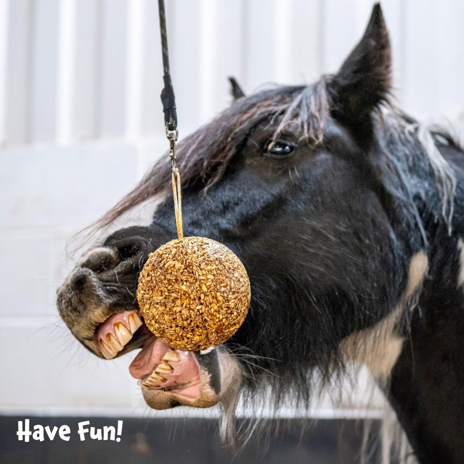 Likit Granolo stall ball apple