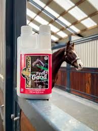 Kevin Bacon’s Feel Good