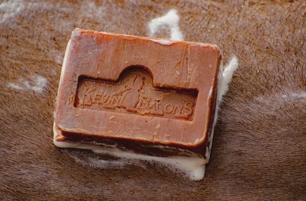Kevin Bacon’s Active Soap