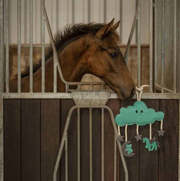 QHP paardenspeelgoed Novy