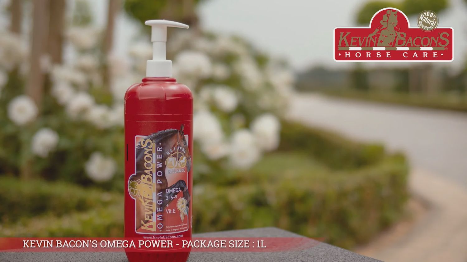 Kevin Bacon’s Omega Power