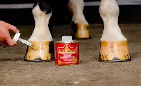 Kevin Bacon’s Liquid Hoofdressing