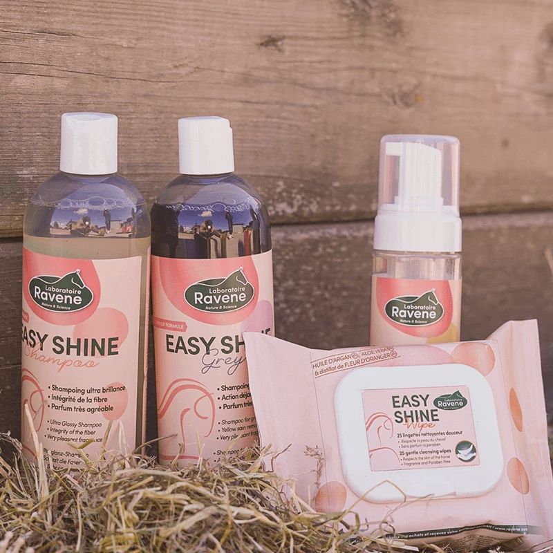 Ravene Easy Shine Wipe