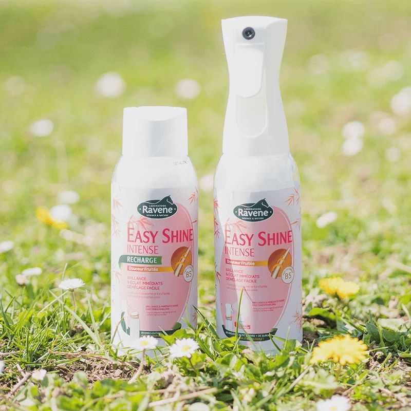 Ravene Easy Shine intense