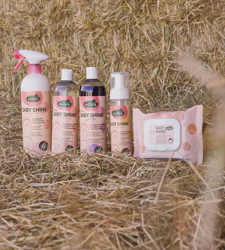 Ravene Easy Shine mousse